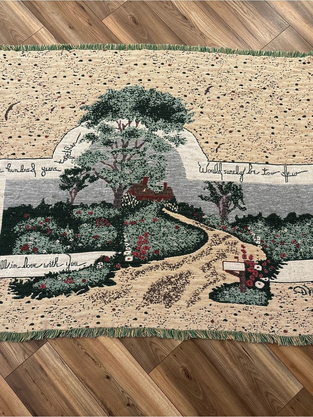Scenic Woven Cotton Fringed Throw Tapestry Blanket D. Morgan Farm Americana